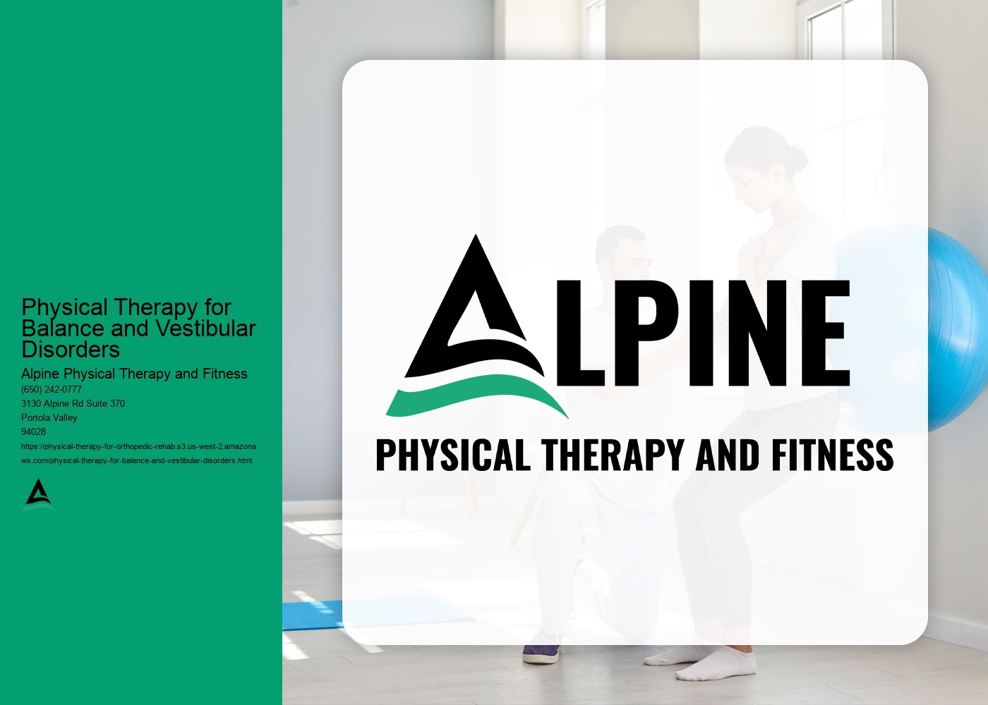 What are some specific exercises or techniques used in physical therapy for balance and vestibular disorders?